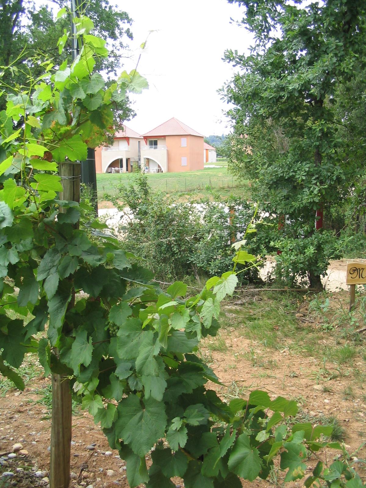 מלון Prayssac Terres De France - Domaine De Claire Rive מראה חיצוני תמונה